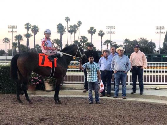 A horse in the winners circle with its connections standing nearby
