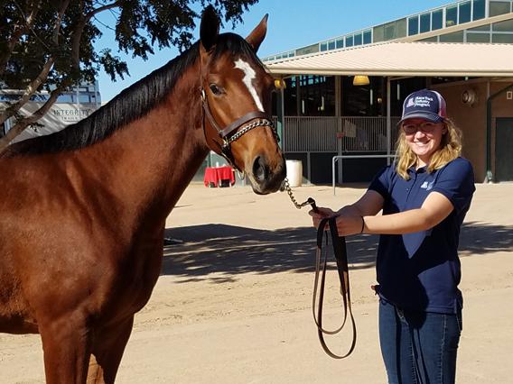 Amy Euler shows horse at sale