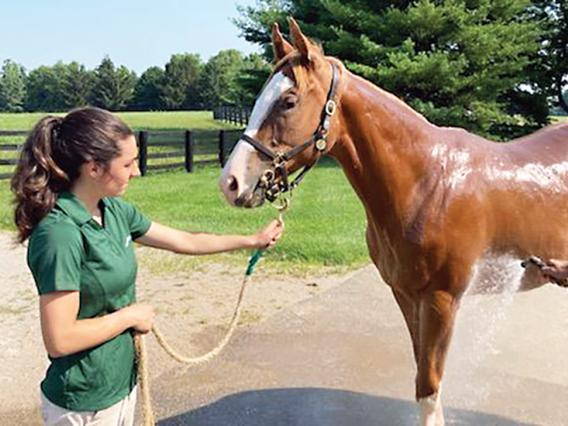 Hailey holding a yearling for a rinse after exercise